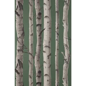 Chester Dark Green Birch Trees Matte Non-pasted Paper Wallpaper