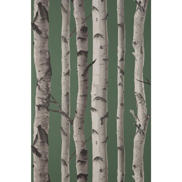 Fine Decor Chester Dark Green Birch Trees Matte Non-pasted Paper Wallpaper