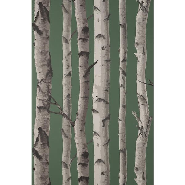 Fine Decor Chester Dark Green Birch Trees Wallpaper Sample