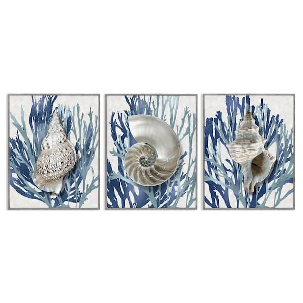 Trio of Shells and Coral by Caroline Kelly 3-Piece Gray Framed Giclee Art Print Coastal 24 in. x 30 in.