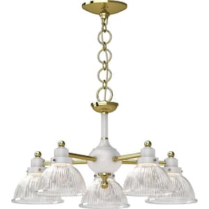 5 Lights Polished Brass and White Chandelier with Glass shade