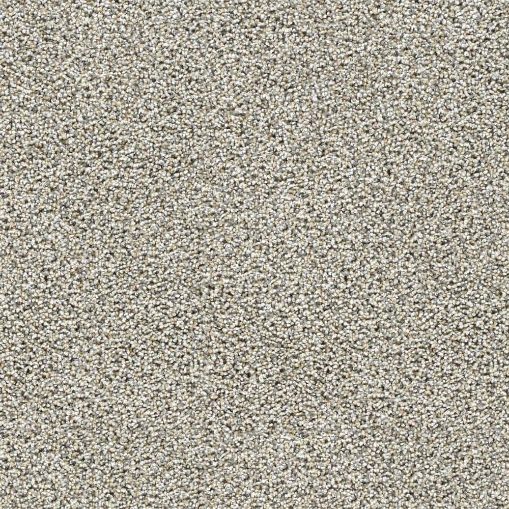 8 in. x 8 in. Texture Carpet Sample-Easel-Color Fine Art price history on PriceWatchPro