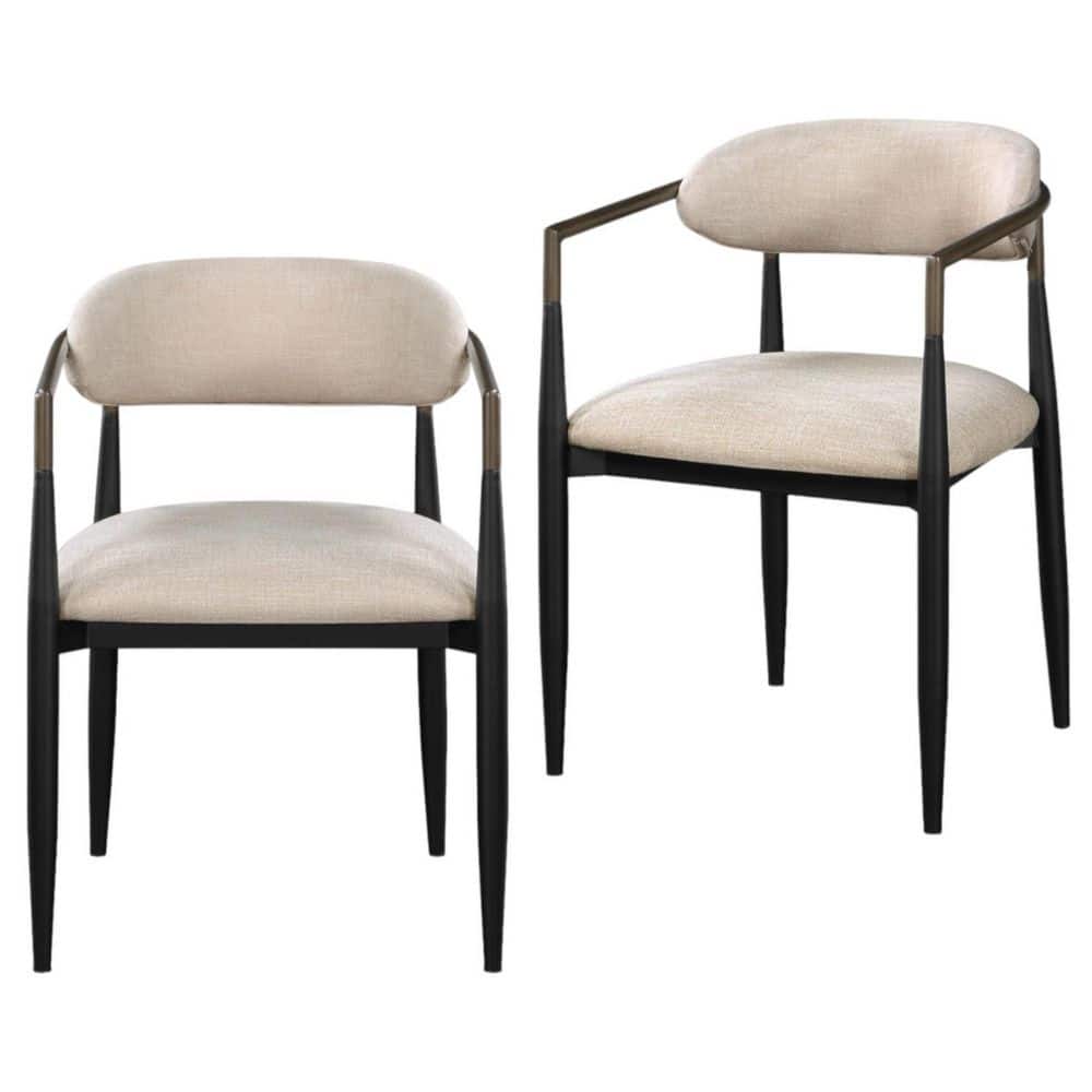 Beige Arm Chair (Set of 2) price history on PriceWatchPro