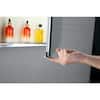 silver-medicine-cabinets-with-mirrors-nndirty-18-66.2