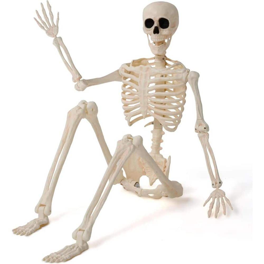 Joyfy 36 in. Tall Halloween Skeleton Decoration, Outdoor Halloween Yard ...