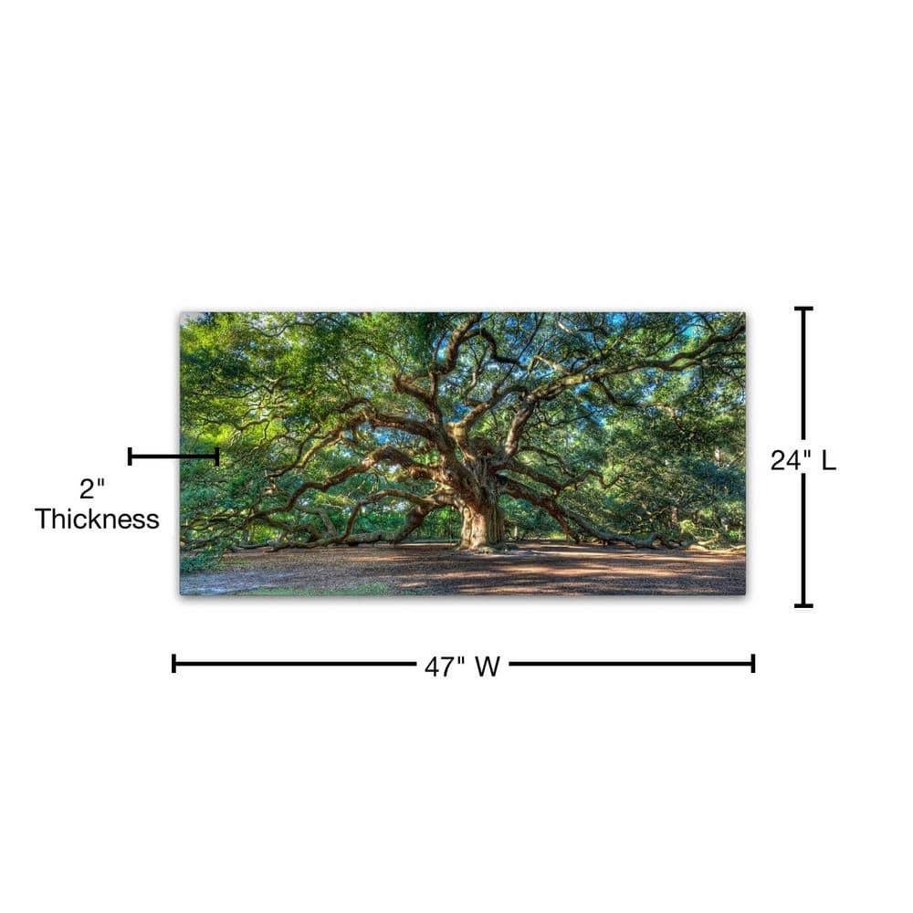 Angel Oak Charleston Large Landscape Canvas Wall Art