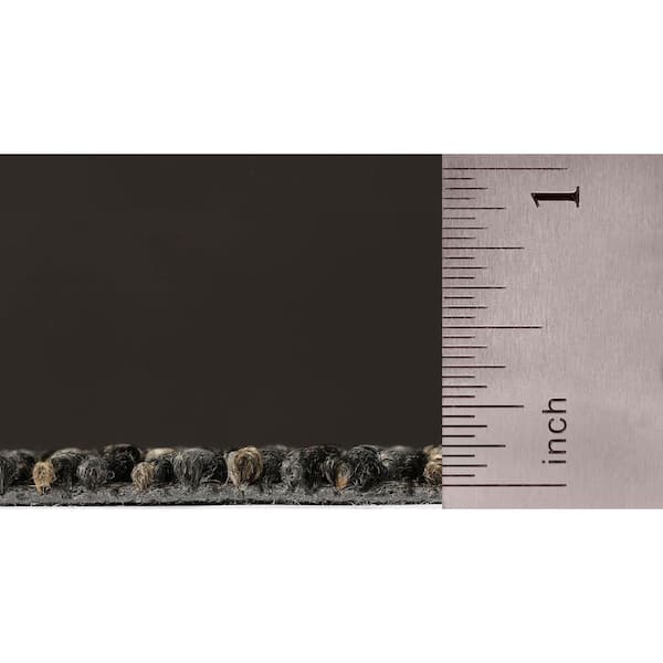 8 in. x 8 in. Textured Loop Carpet Sample-Advance-Color-Special Story