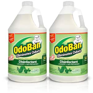 1 Gal. Eucalyptus Disinfectant and Odor Eliminator, Fabric Freshener, Mold Control, Multi-Purpose Concentrate (2-Pack)