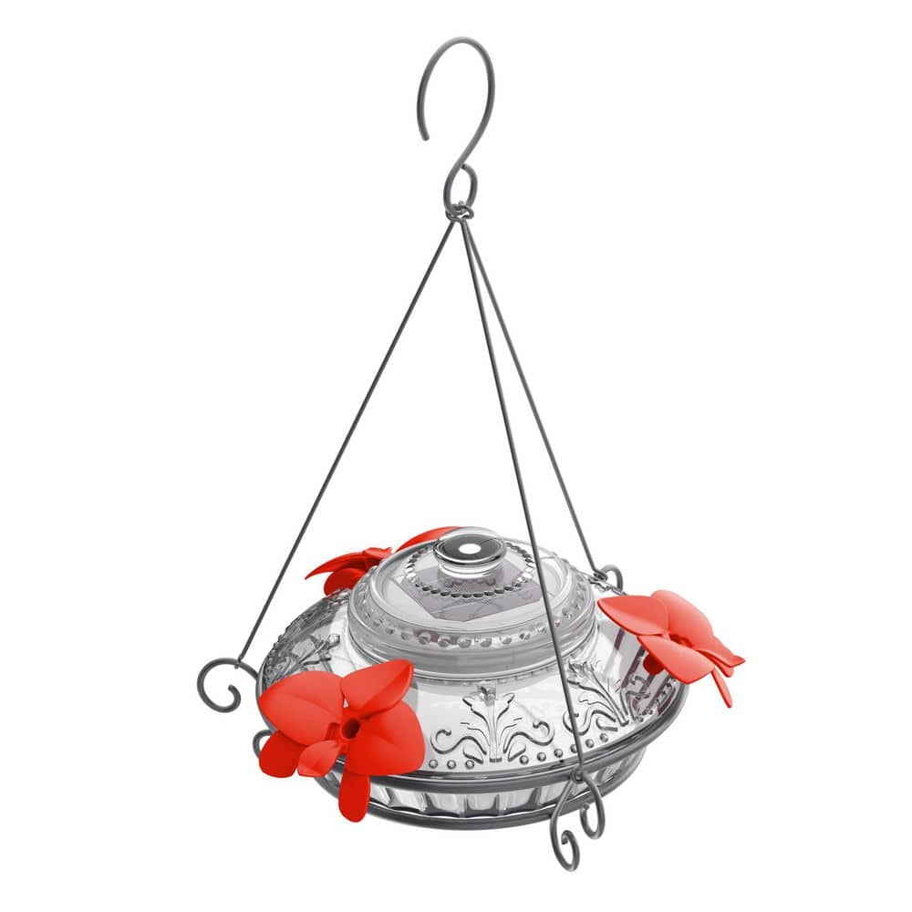 Wild Wings Clear Antique Top Fill Glass Hummingbird Feeder WWANTHF0 The Home Depot