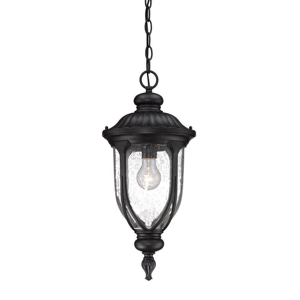 Acclaim Lighting Laurens 1-Light Matte Black Outdoor Hanging Lantern 2216BK