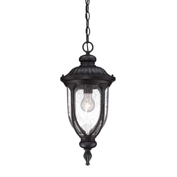 Acclaim Lighting Laurens 1-Light Matte Black Outdoor Hanging Lantern