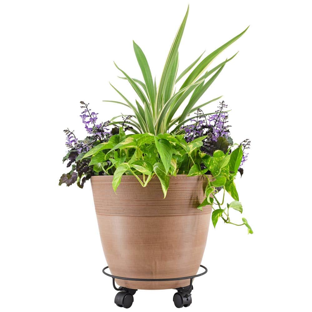 13-Inch Black Metal Heavy-Duty Plant Caddy with Wheels