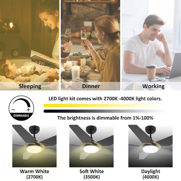 CARRO Voyager 52 in. Dimmable LED Indoor/Outdoor Black Smart