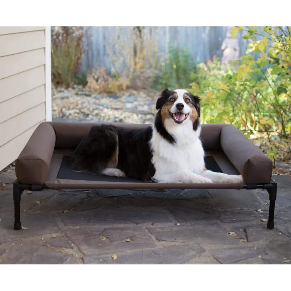 Large Chocolate Waterproof Elevated Pet Cot with Bolster