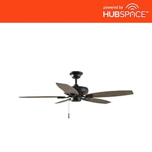 North Pond 52 in. Indoor/Outdoor Matte Black Ceiling Fan with Downrod and Reversible Motor; Light Kit Adaptable