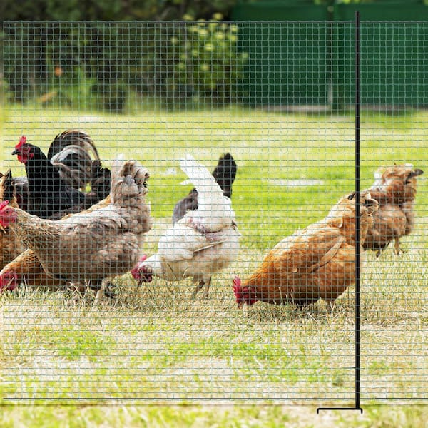 Non Electric Fence Netting 40 in. x164 ft. Boundary Fence Movable Livestock Nets Mesh for Chickens, Goats in Farm