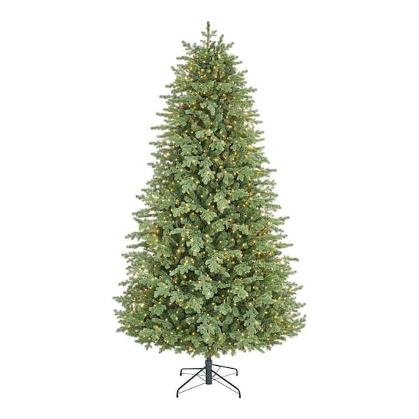 9 ft Montrose Douglas Fir LED Pre-Lit Tre