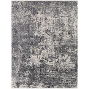 Lucien Grey 5 ft. x 7 ft. Abstract Area Rug