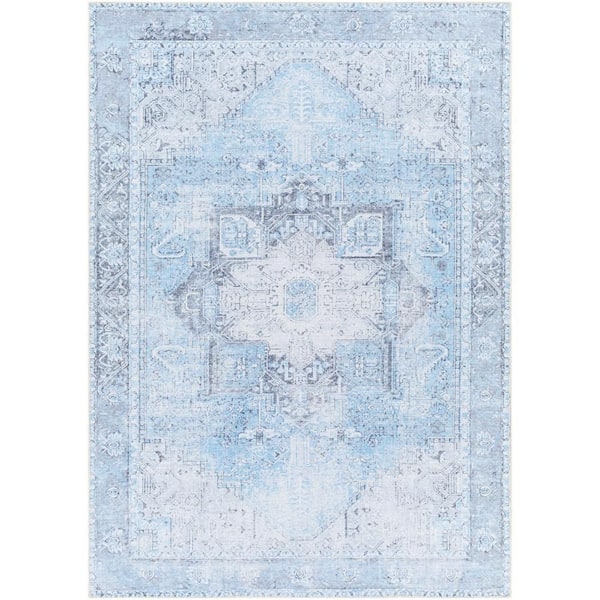 Livabliss Gilda Pink/Blue Medallion 2 ft. x 3 ft. Indoor Machine-Washable  Area Rug