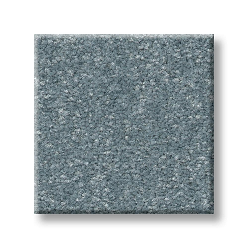 8 in. x 8 in. Texture Carpet Sample - Blakely III -Color Robbin price history on PriceWatchPro