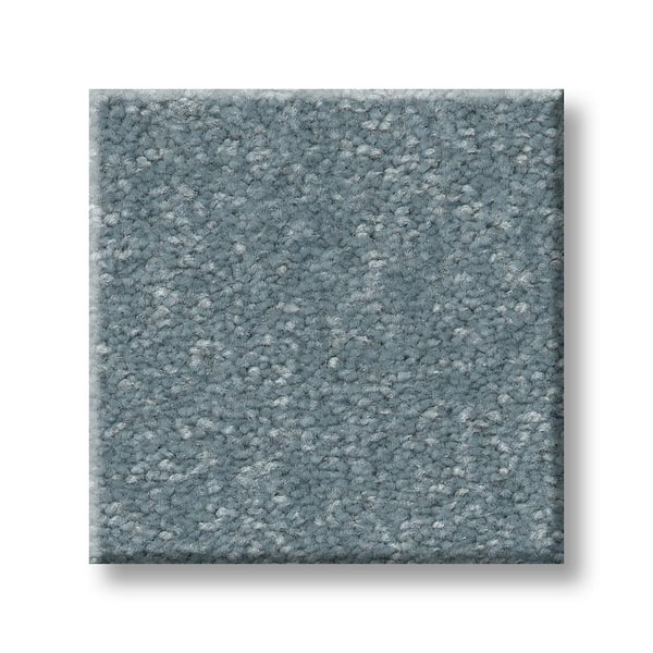 Lifeproof 8 in. x 8 in. Texture Carpet Sample - Blakely III -Color Robbin