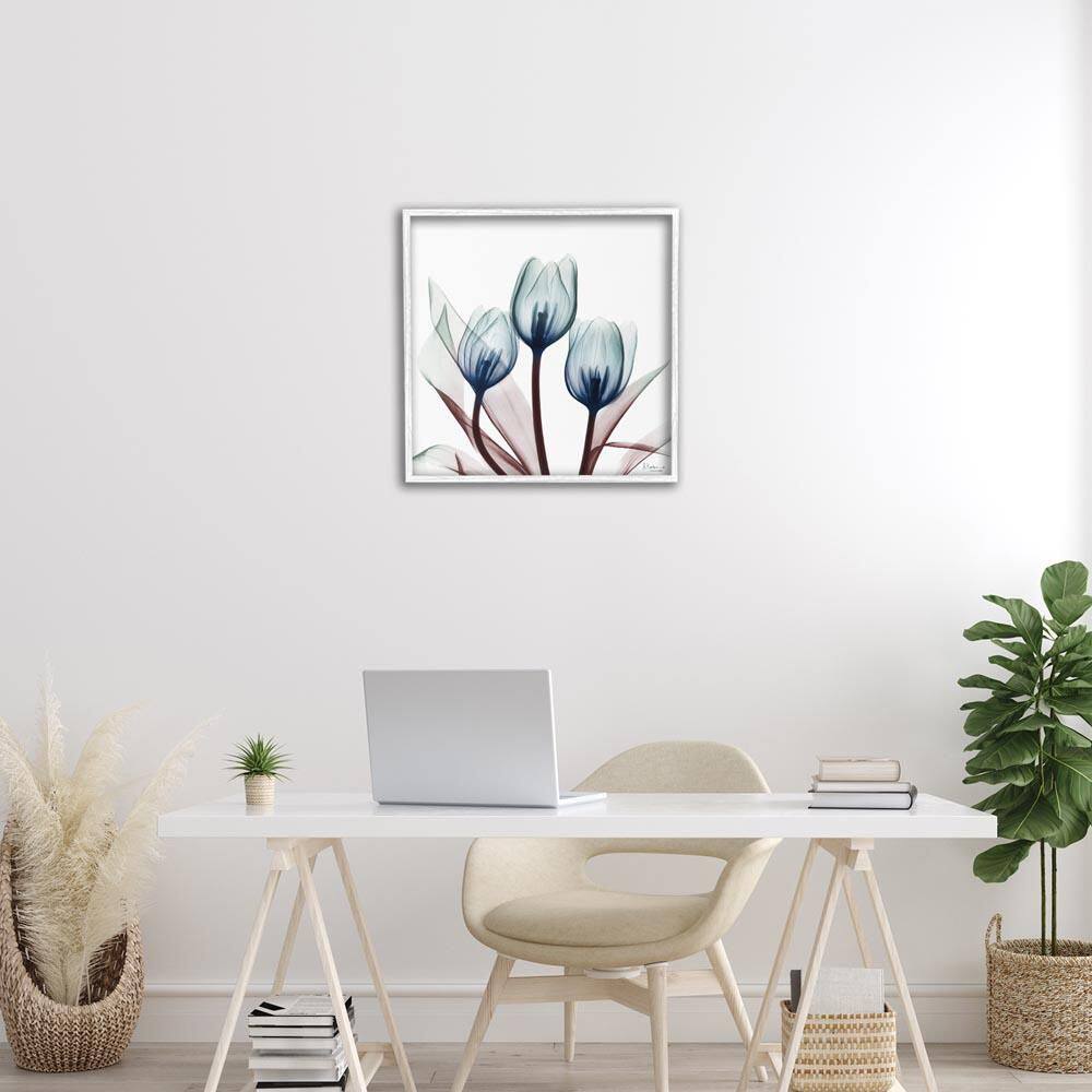 Chic Blue Translucent Tulips by Albert Koetsier White Framed Nature Giclee Art Print 24 in. x 24 in. price history on PriceWatchPro