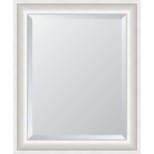 Sterling 28.5 in. W x 34.5 in. H Rectangle Silver Framed Mirror