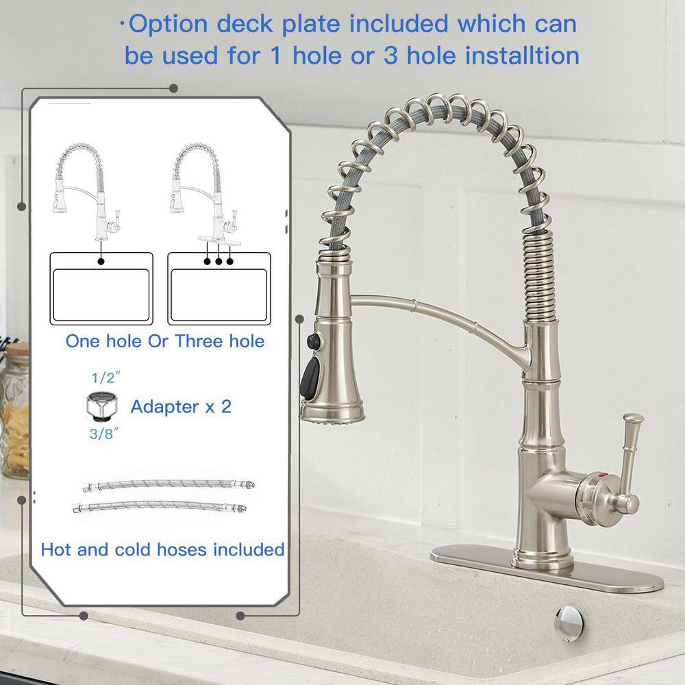 Brushed Nickel Single-Handle Pull-Down Kitchen Faucet with Deck Plate