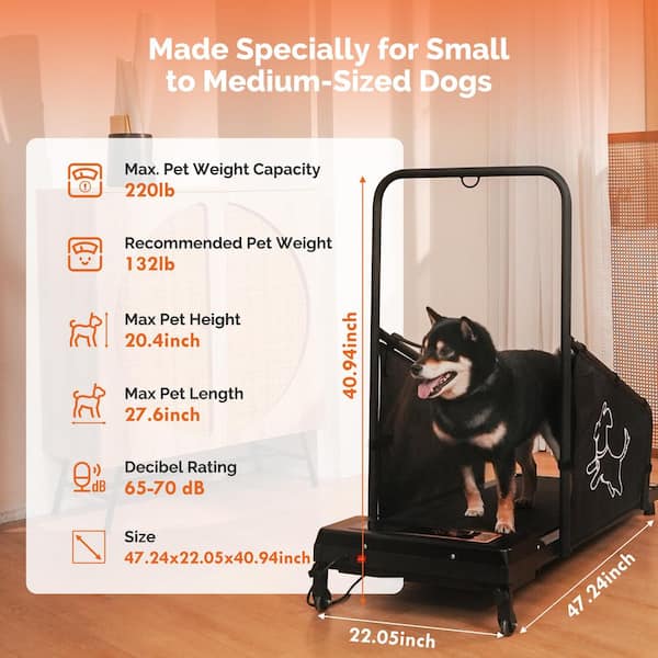 24 in. W x 50 in. L x 20 in. H Black Metal Dog Treadmill for
