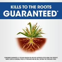 32 fl. oz. Weed/Grass Killer 4 Concentrate, Use in and Around Flower Beds, Walkways and Other Areas of your Yard