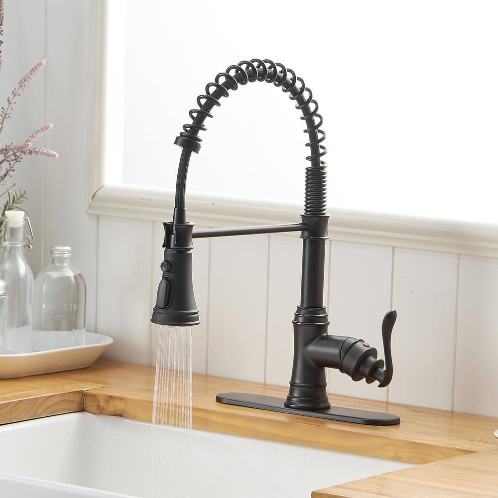 Matte Black Pull-Down Kitchen Faucet with Pull-out Spray