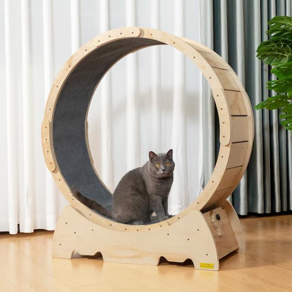 Large 2024 cat wheel