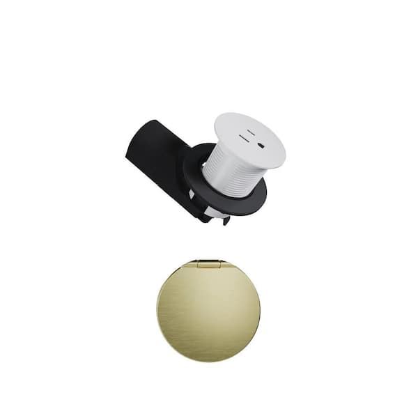 Pass & Seymour Champagne Bronze Outlet Wall Plate Lid and 15 Amp Matte White Kitchen Countertop Outlet Combo