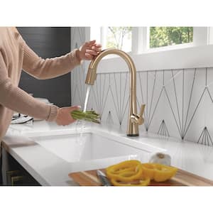 Monrovia Single-Handle Pull Down Sprayer Kitchen Faucet with Touch2O Technology in Lumicoat Champagne Bronze