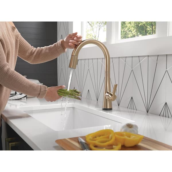 Monrovia Gold Single-Handle Pull Down Sprayer Kitchen Faucet with Touch2O Technology in Lumicoat Champagne Bronze
