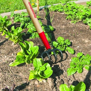 4-Tine Soil Cultivator