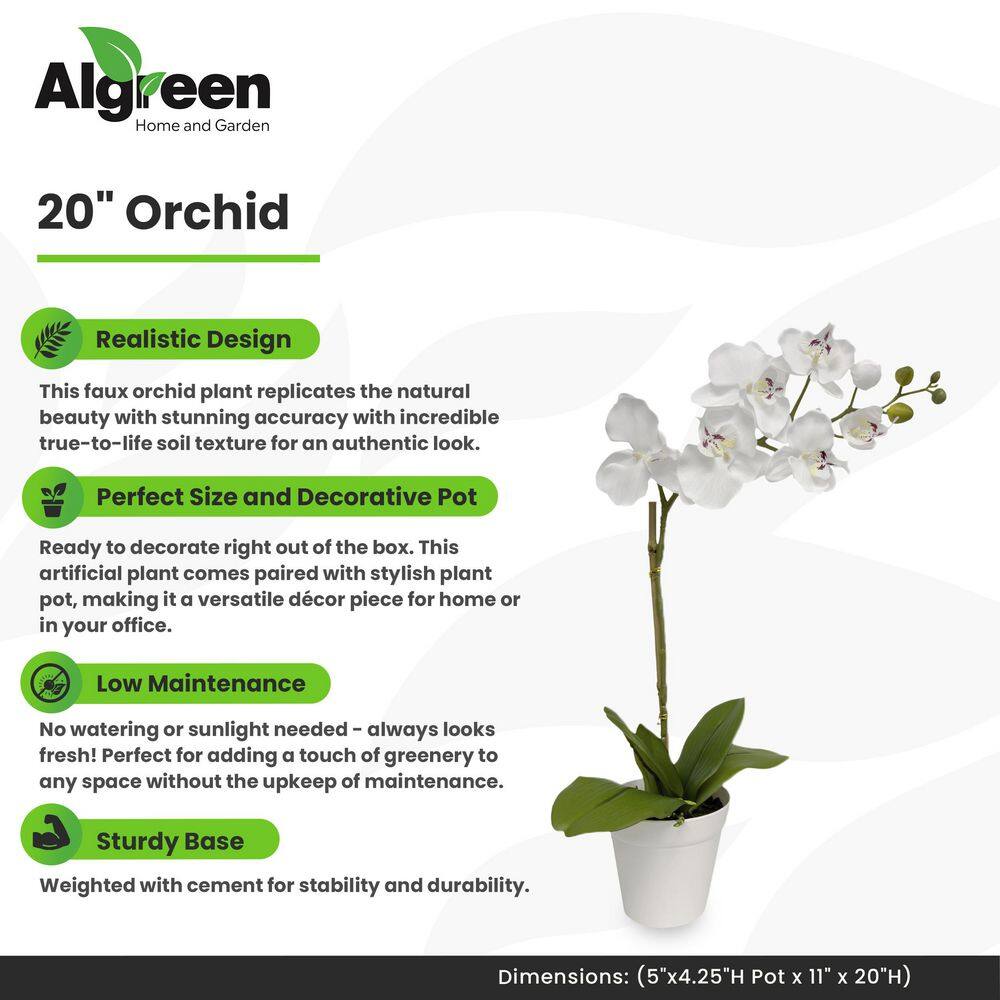 47'' White Silk Orchid in Plastic Pot