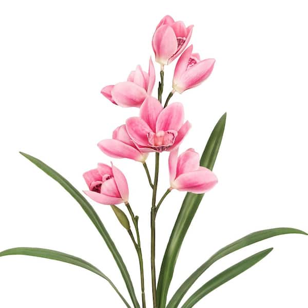 20 in. Fuchsia Pink Artificial Cymbidium Orchid Plant Flower Stem Spray (Set of 2)