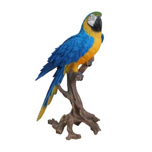 Blue and Yellow Large Macaw