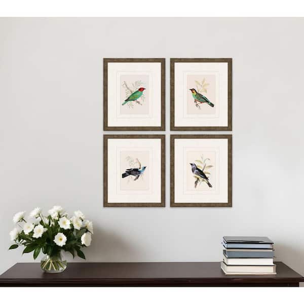 4 Piece Framed Graphic Print Animals 13.00 in. x 11.00 in.
