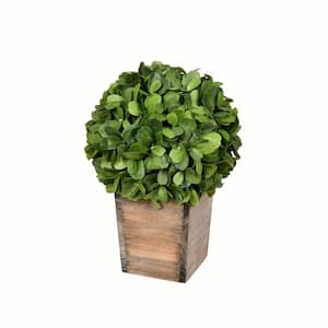 11 in Artificial Potted Boxwood Ball in Wooden Pot.