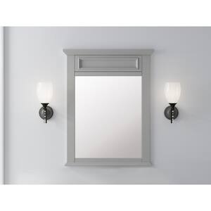 Sadie 28 in. W x 36 in. H Framed Rectangular Beveled Edge Bathroom Vanity Mirror in Dove Gray