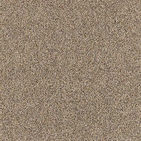 Household Hues I Full Grey- Gray 31 oz. Polyester Textured Installed Carpet