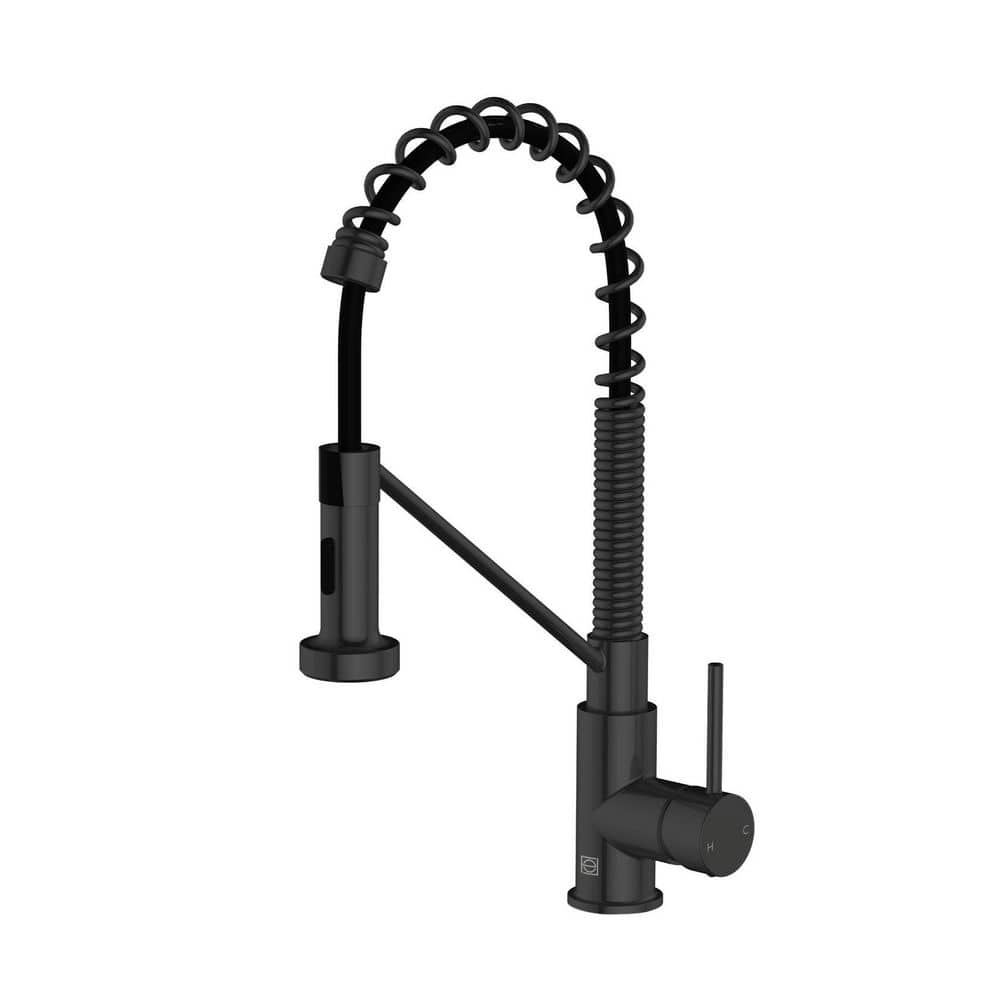 Timeless Home Matte Black 18 in. Single Handle Pull Down Sprayer Kitchen Fa