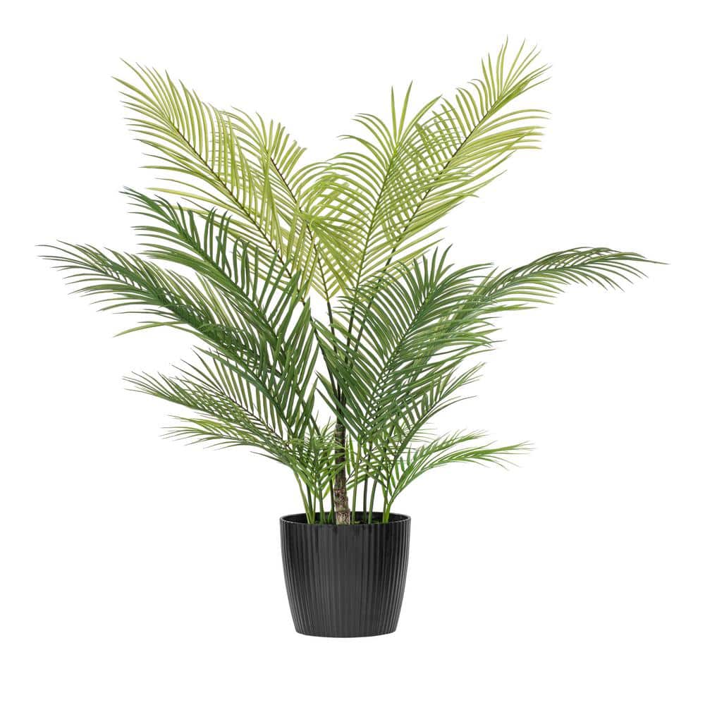 50'' Green Areca Palm in Black Plastic Pot