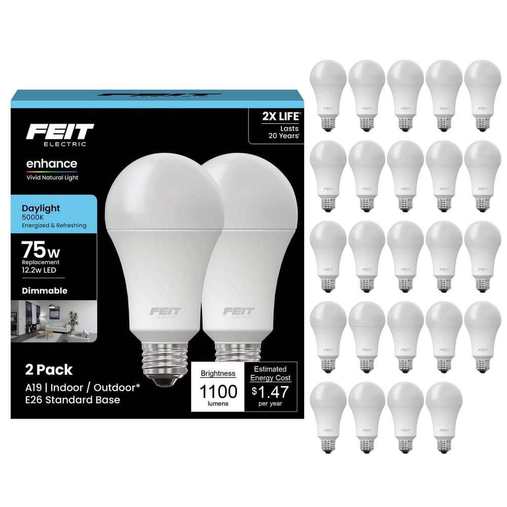feit-electric-general-purpose-