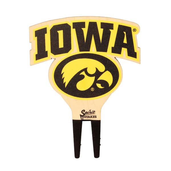 Iowa Logo Color Planter Accessory