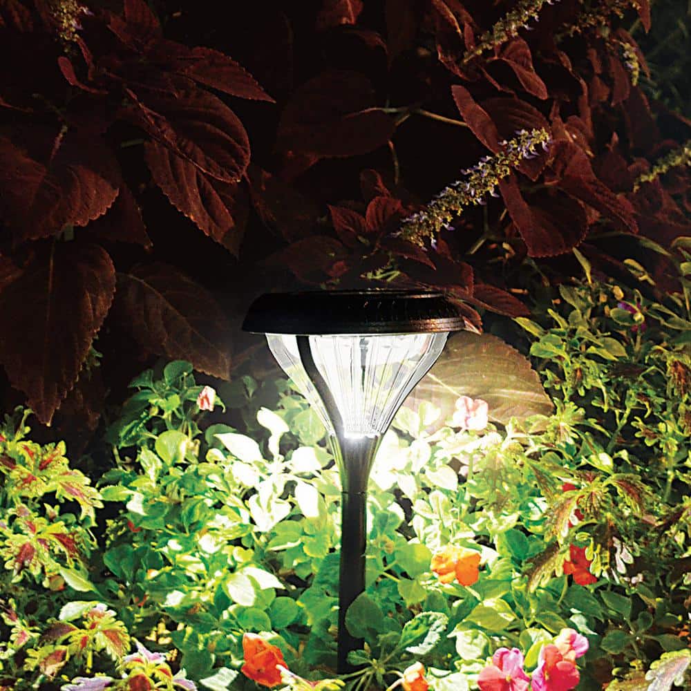 Premier Black Aluminum Solar LED Pathway Lights with Dual Color, Set of 2