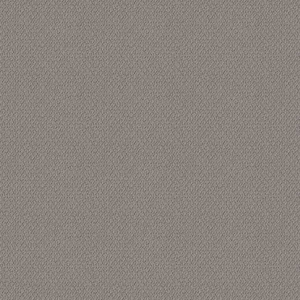 Home Decorators Collection Hickory Lane - Castle Rock - Gray 32.7 oz. SD Polyester Loop Installed Carpet