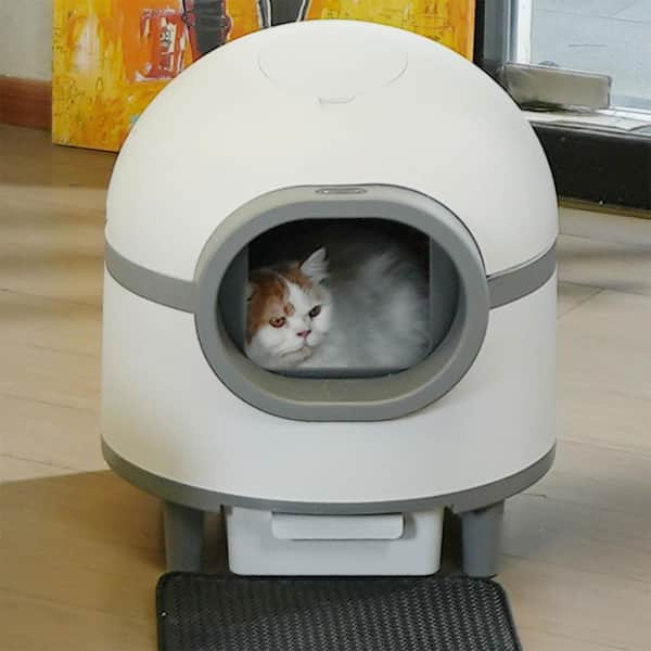 Best Cat Litter Boxes In 2024, Tried And Tested